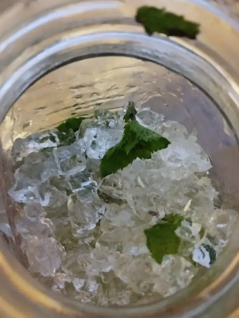 nathan derrien_Le Patio Sanguinet_Sanguinet_review