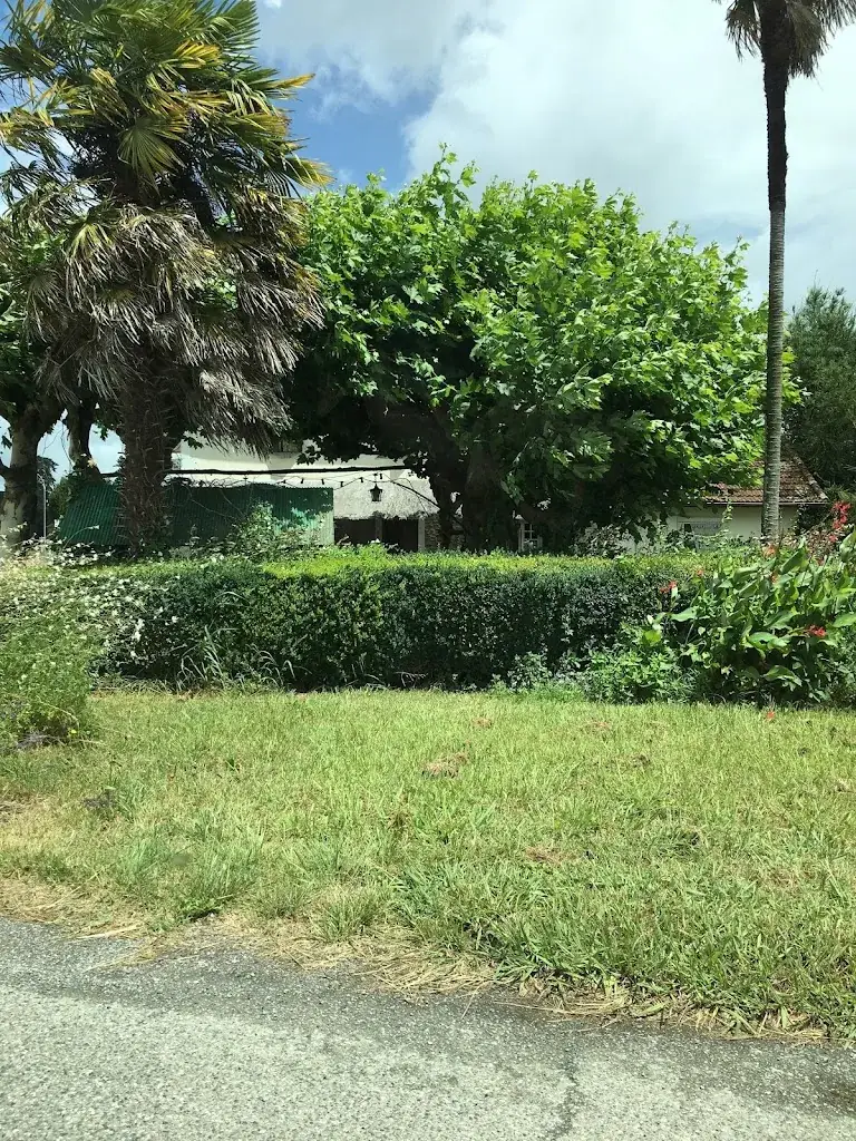 Christophe Leroy_Auberge Du Saumon_Sauveterre-de-Béarn_review