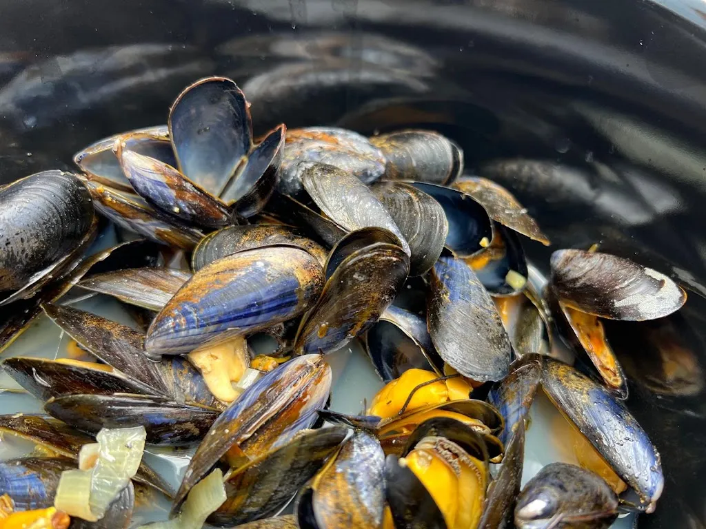 Gaby_La poule aillée_Semussac_recensione