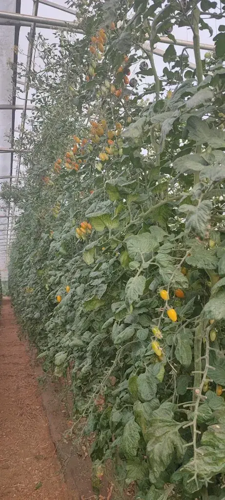 Les saveurs de Gâtine_Secondigny_slider_image_1