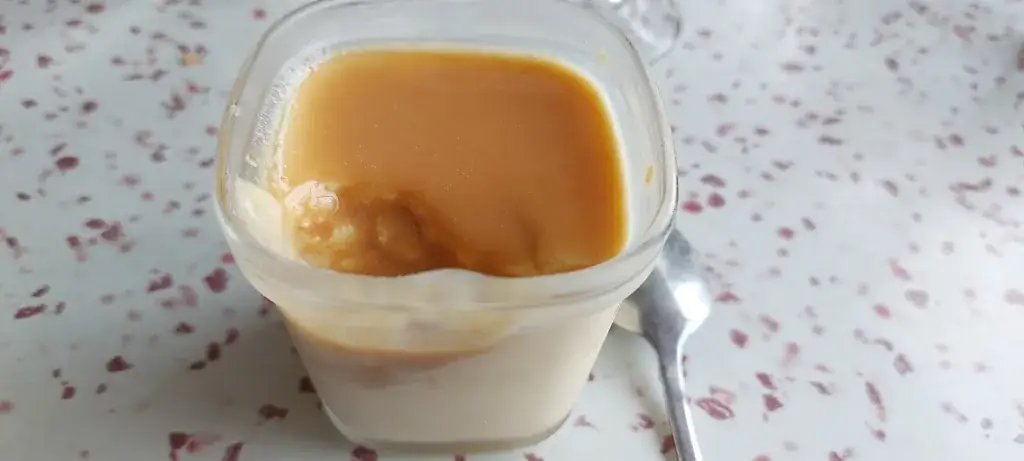 Cecile Hue_RESTAURANT LE GATINOIS_Secondigny_review