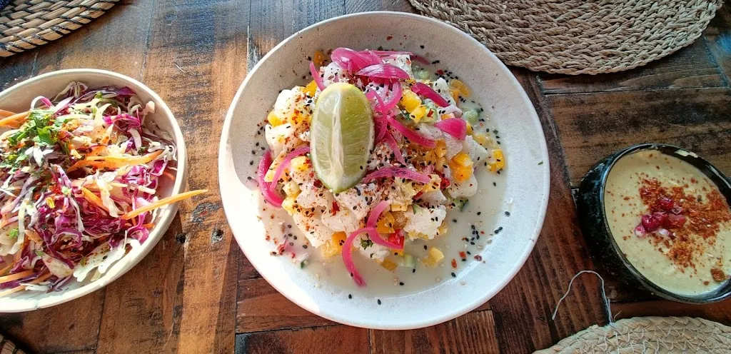 matthias tarabori_Le Surfing since 1988_Seignosse_review