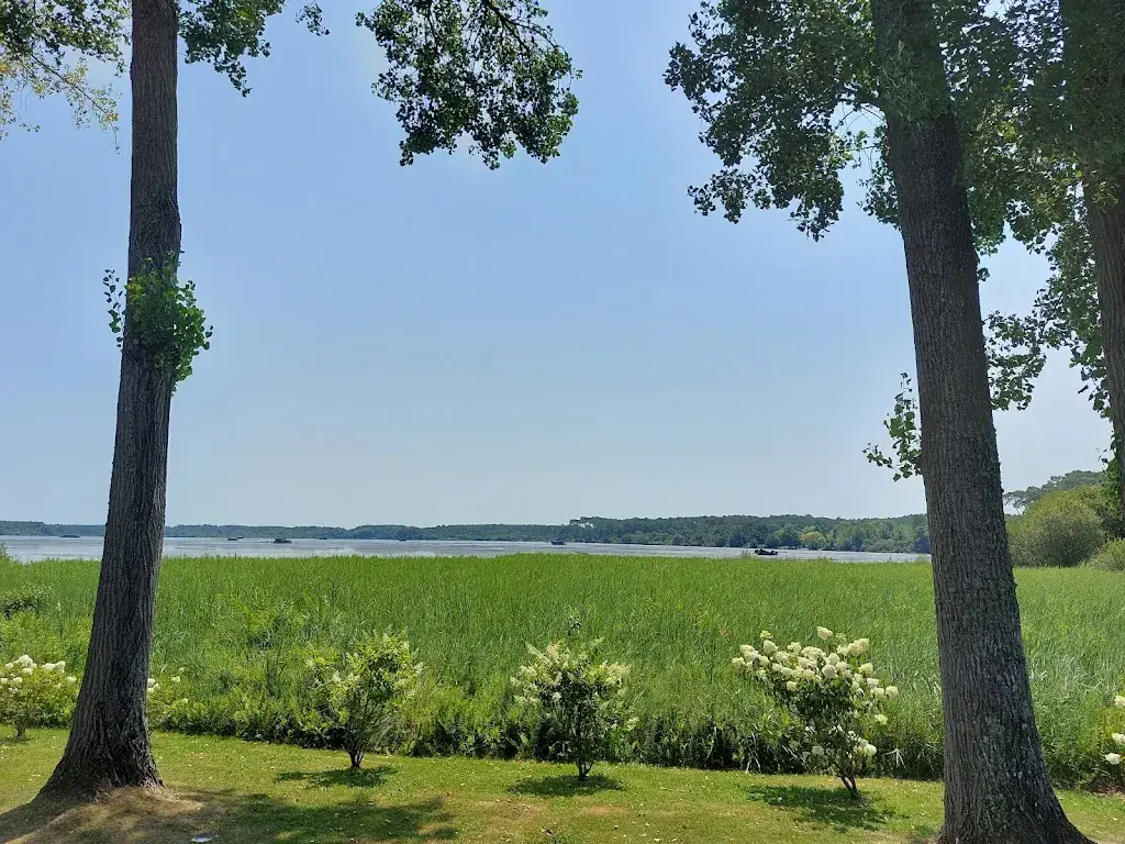 Gege Gege_Restaurant Les Roseaux_Seignosse_review