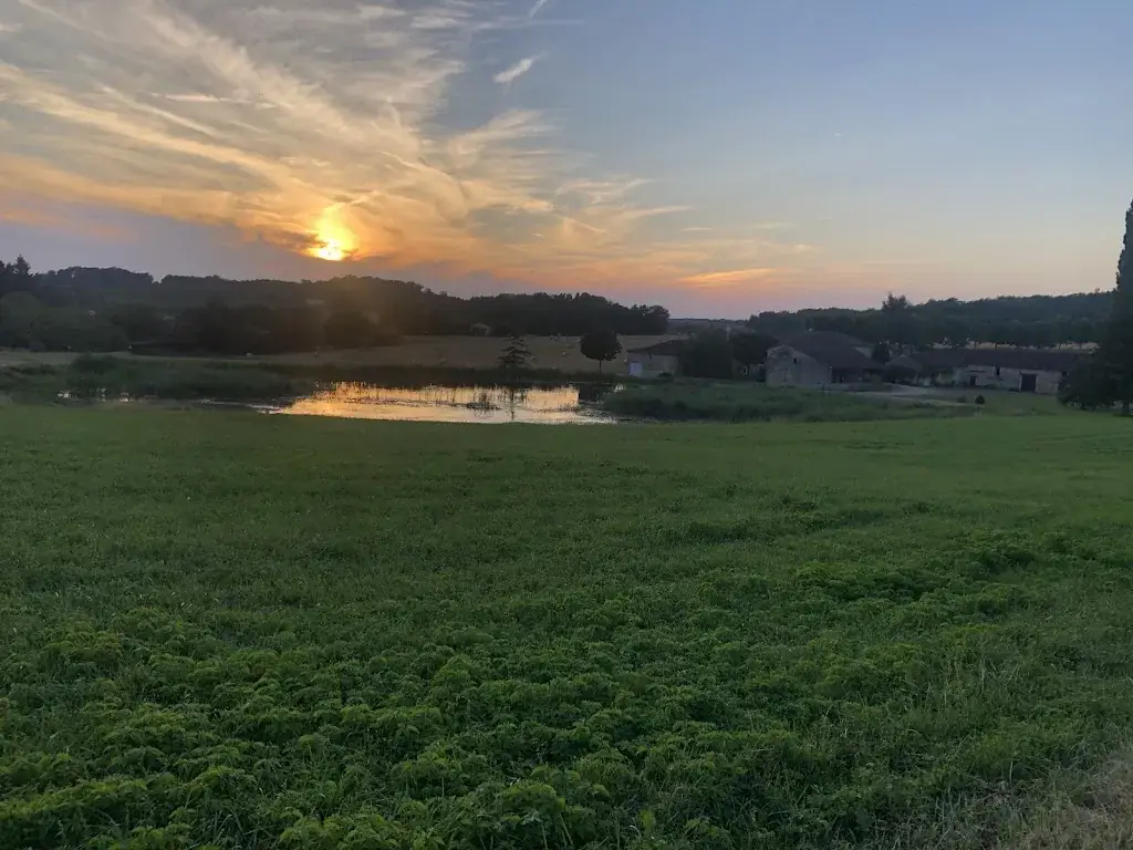 Robert O'Dowd_le comptoir des halles_Périgord_recensione
