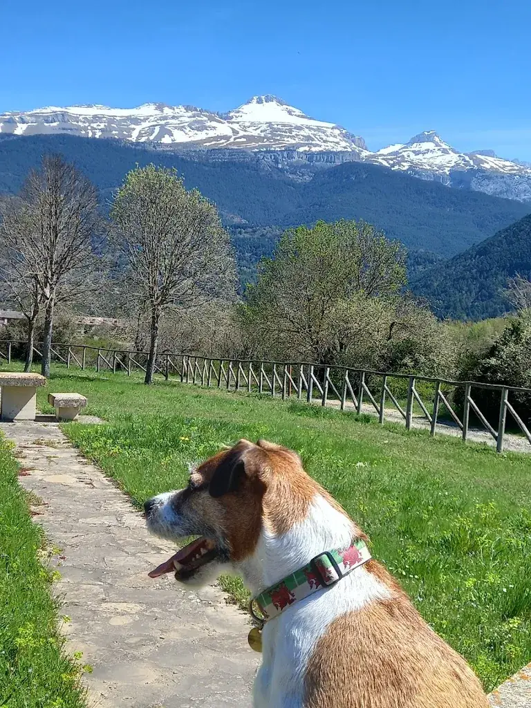 Caio The Cymro Evans_Quai 971_Soubise_recensione