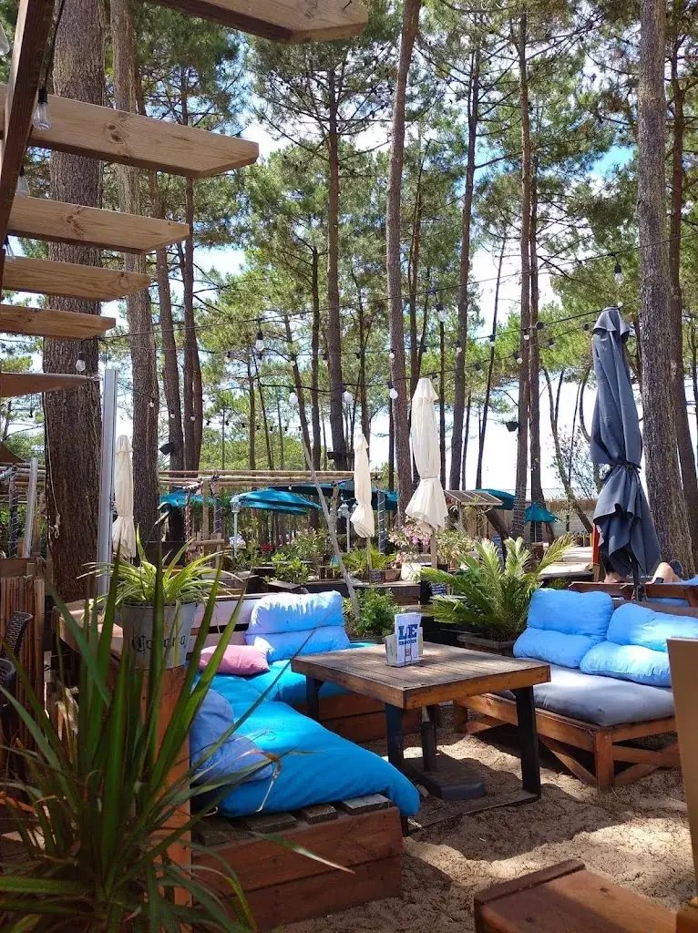 le BroomS restaurant in Soustons