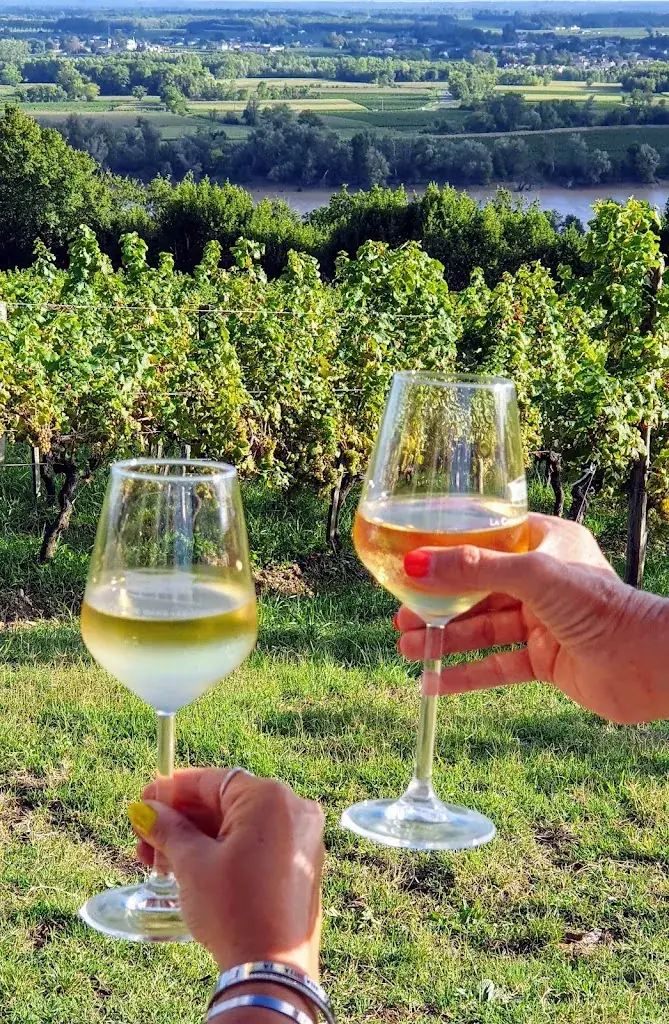 Menu_La cabane dans les vignes_Tabanac_image_4