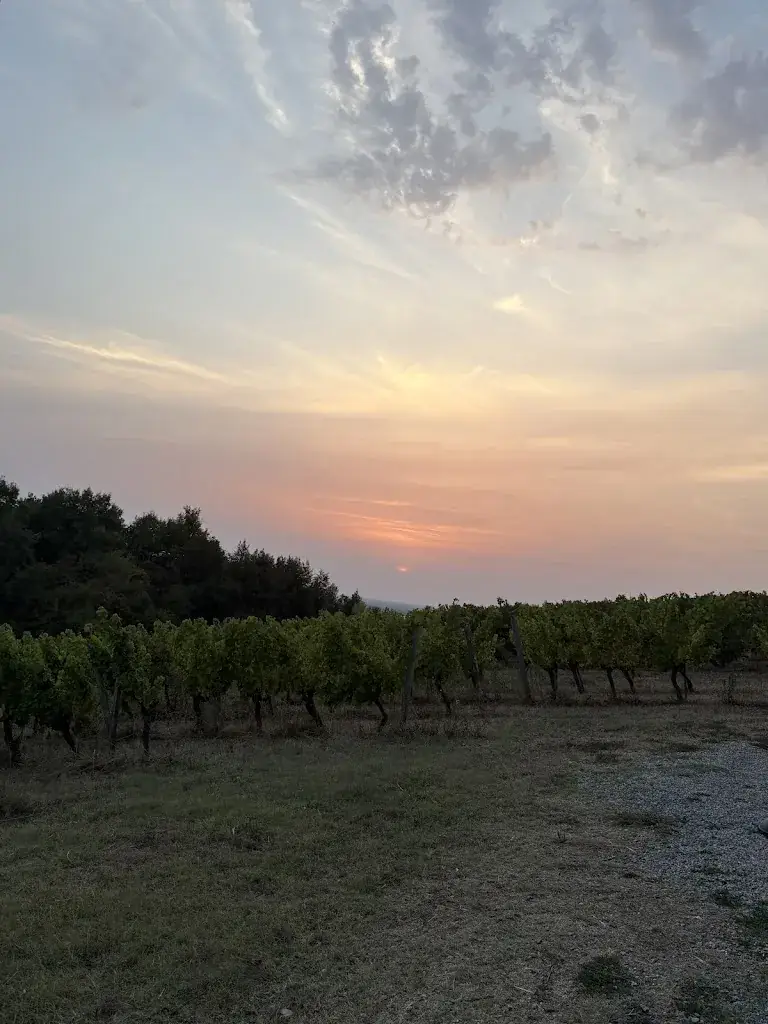 Marge C_La cabane dans les vignes_Tabanac_review