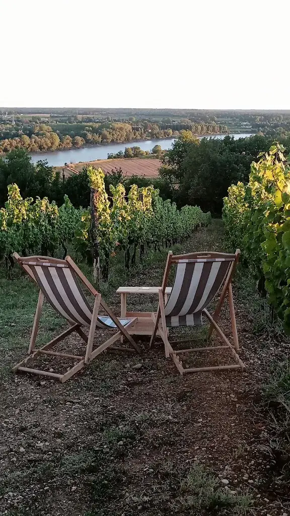 La cabane dans les vignes_Tabanac_slider_image_1