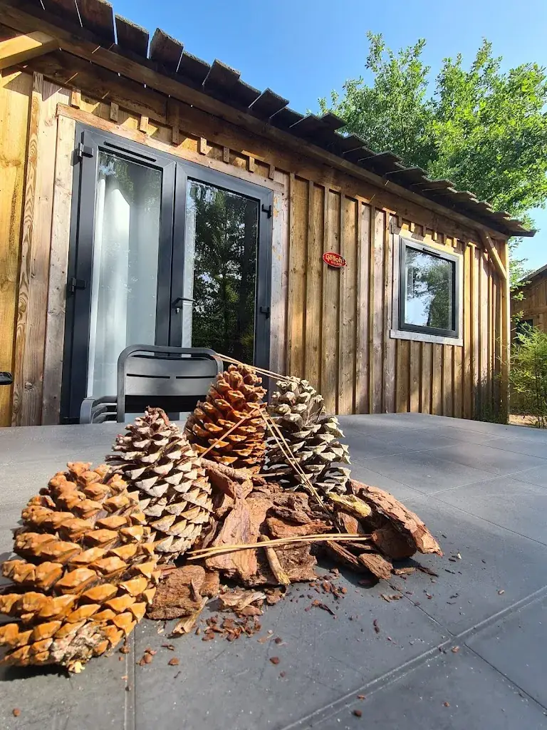 Alex_Restaurant La Table Des Carrelets_Soulac-sur-Mer_review