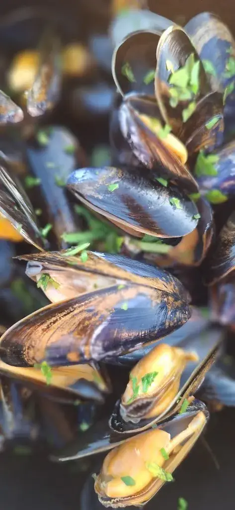 Celine GM_TAIYŌ_Soulac-sur-Mer_review