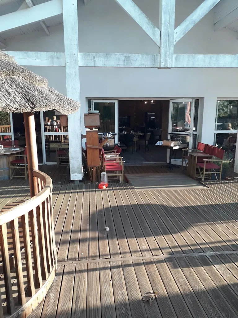 John Basham_Les farfadets du lac_Devise_review