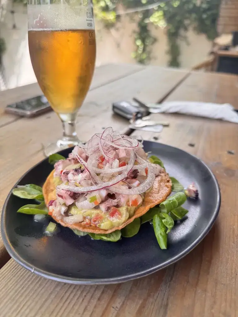 Mona O_Candela_Talence_recensione