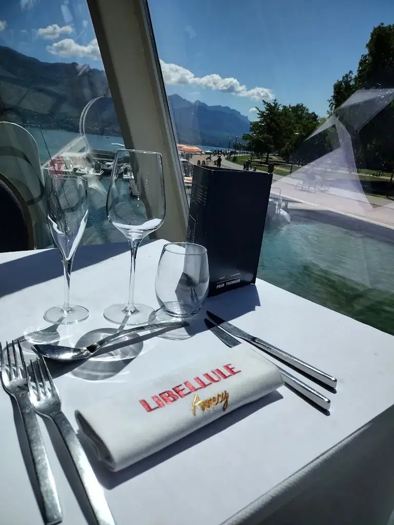 S L Clark_Le Libellule - Bateau Restaurant_Annecy_review