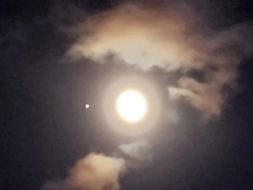 Carlos Torres_L'Après Ski_Vars_review