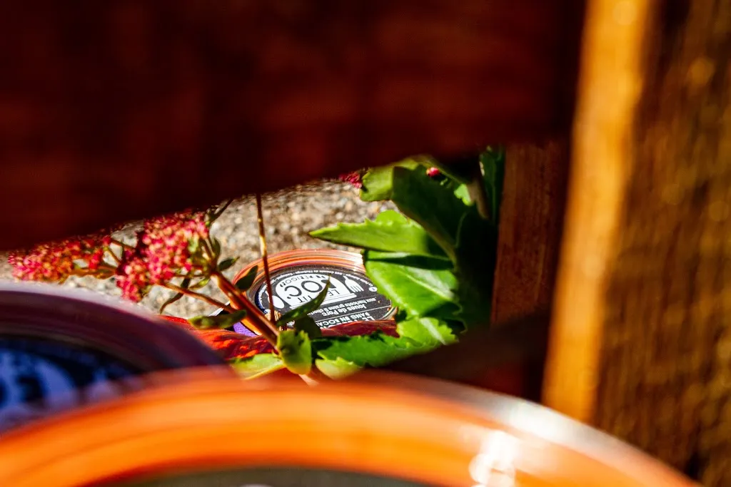 Menu_La petite Auberge_Saint-Mayme-de-Péreyrol_image_5