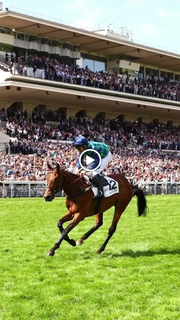 La Cabane Restaurant_L'Éguille_slider_image_2