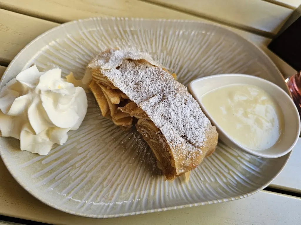 Ecaterina Vizdoaga_Wiener Wiazhaus_Austria_review