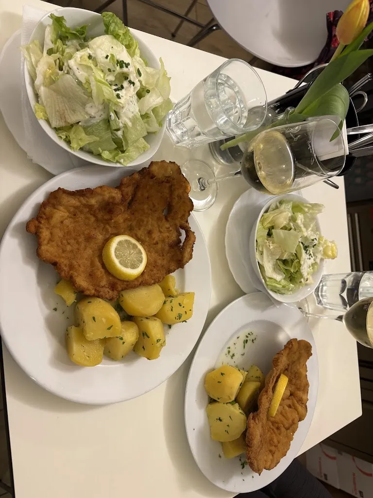 Ivona Pinjak_Wiener Wiazhaus_Austria_review