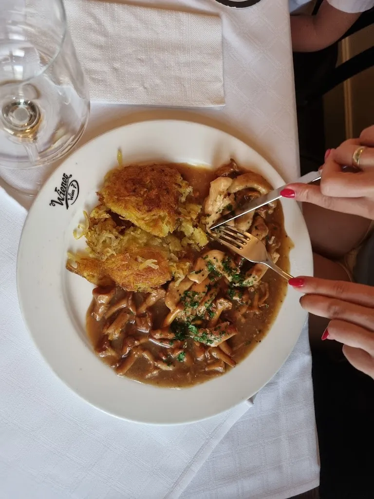 Rafał Pydyniak_Restaurant Wiener_Austria_review
