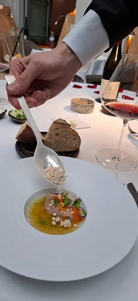 Ancuta Diana Ungureanu_Silvio Nickol_Austria_review