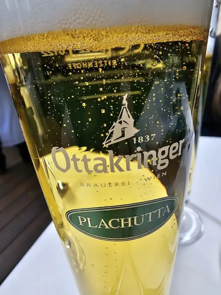 Menu_Plachutta Wollzeile_Austria_immagine_6