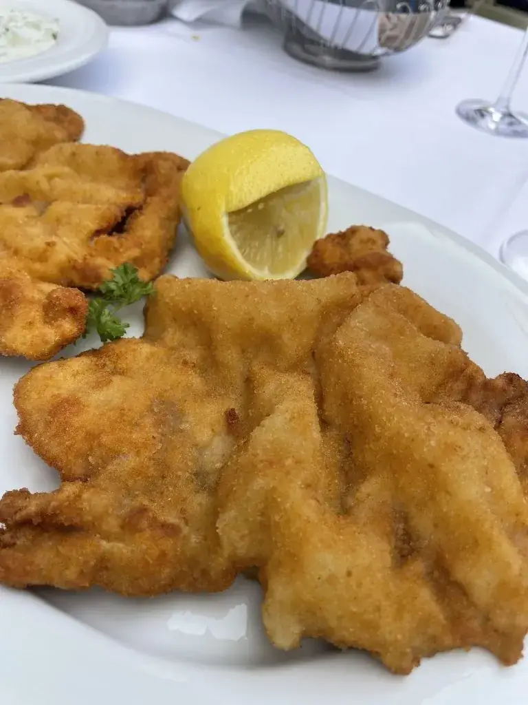 Reinhard Bergander_Plachuttas Gasthaus zur Oper_Austria_review