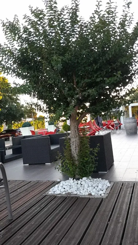 Jules_Hôtel Au P'tit Creux des Landes Ychoux_Ychoux_recensione