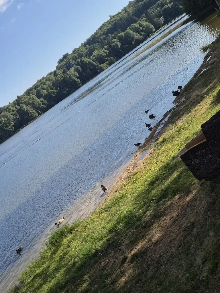 Samir Charef_Le Chalet du Lac_Mazamet_review