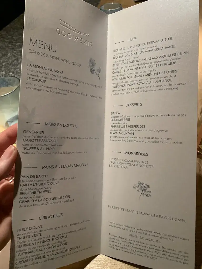 Menü_VILLA PINEWOOD_Payrin-Augmontel_Bild_2