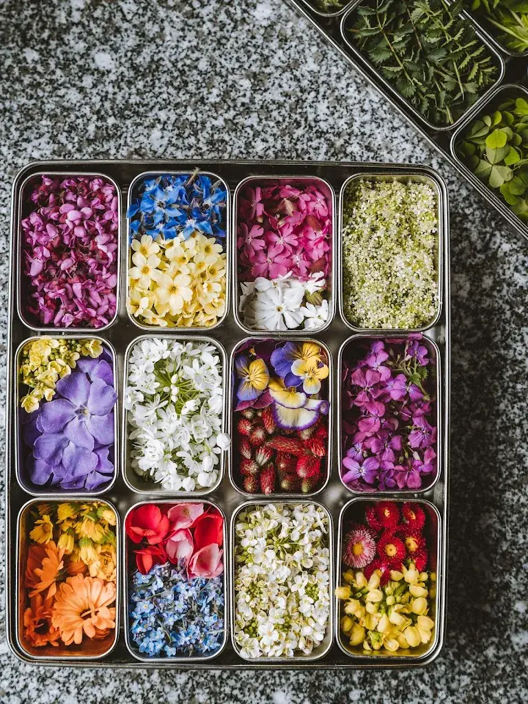 VILLA PINEWOOD_Payrin-Augmontel_slider_image_3