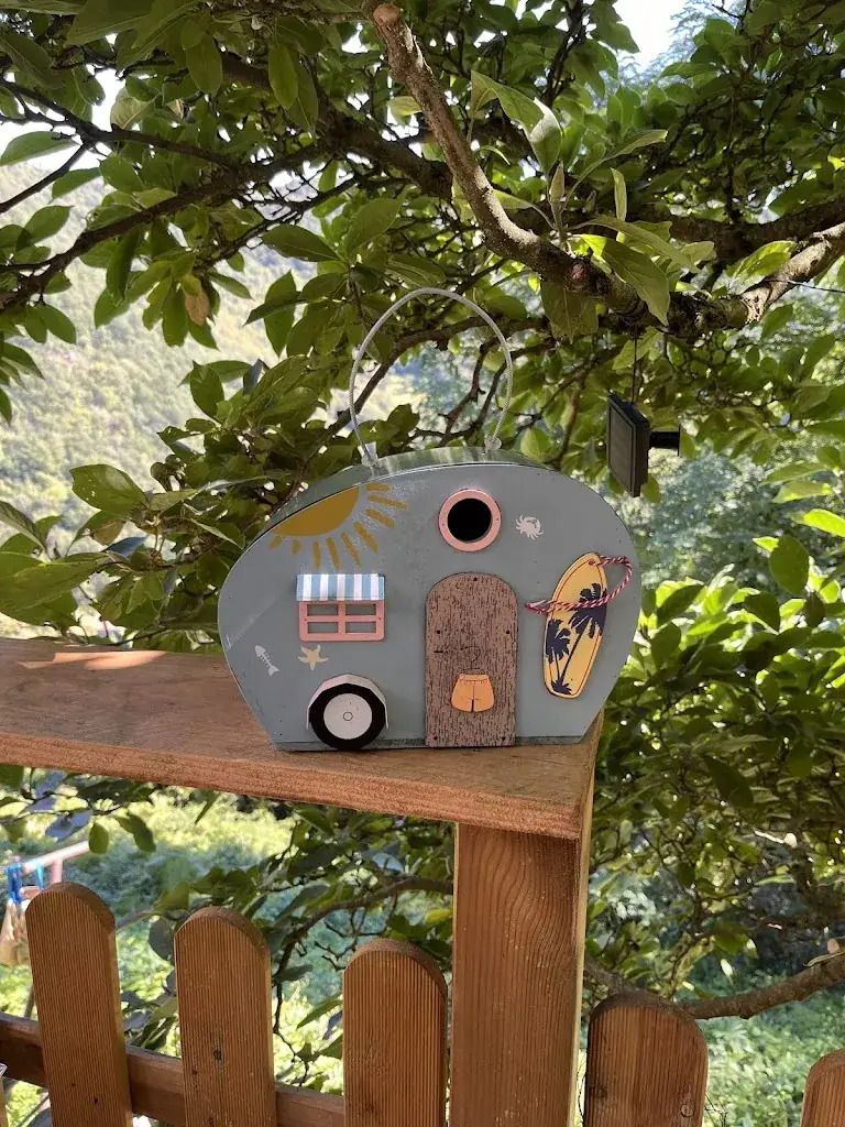 Julia Dixon_La Fringale_Mazamet_review