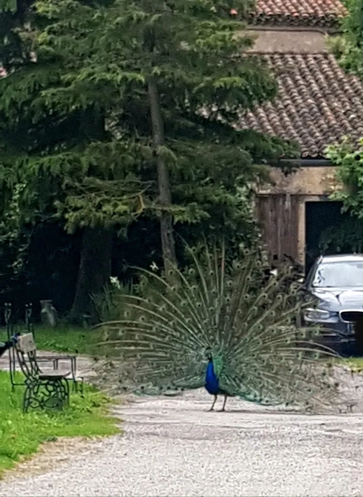 Sarah N._Restaurant de Bonnery_Caucalières_review