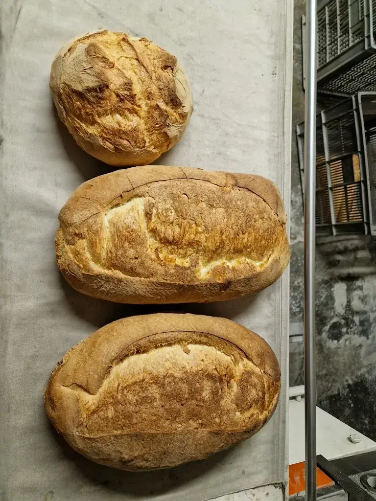 Boulangerie Astruc Jeremy Restaurant in Aiguefonde