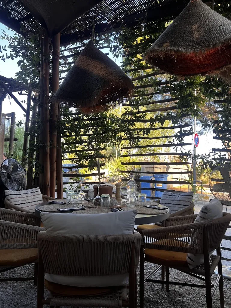 Boem_Aigues-Mortes_slider_image_3