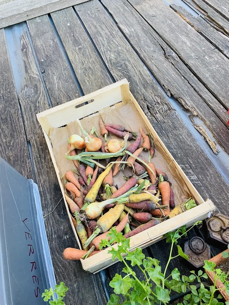 Menu_LA FERME DU CHAPI_d'Oingt_image_7