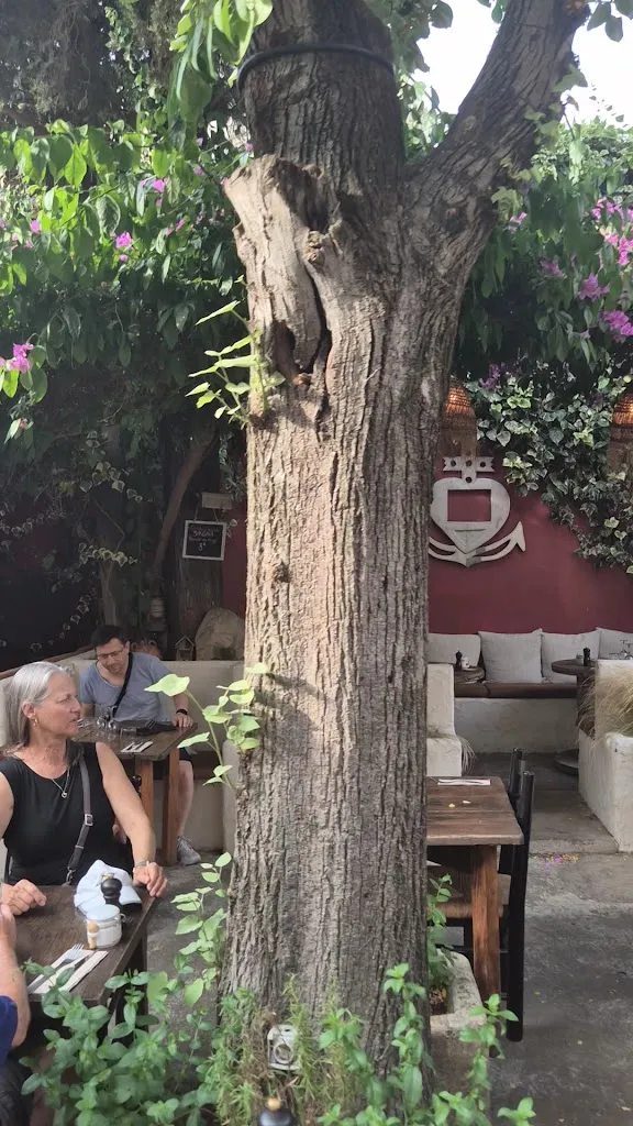 La Camargue_Aigues-Mortes_slider_image_2