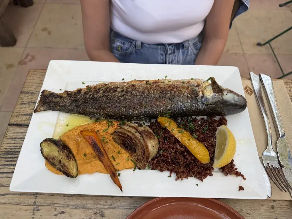 AHL_Chez Vincent, Aigues-Mortes_Aigues-Mortes_review