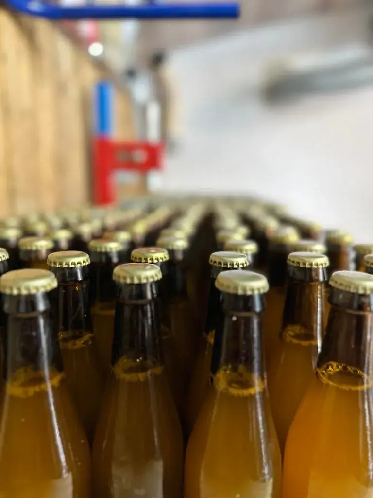 Menu_BRASSERIE DE GARRIGOUILLE_Aigues-Vives_image_4