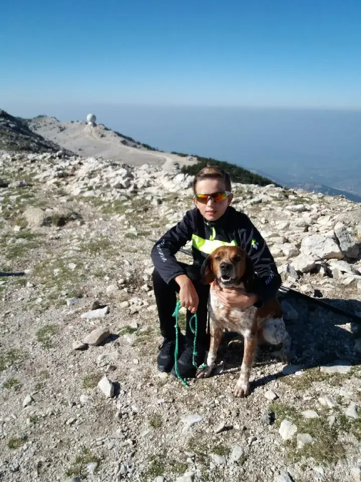 Mister_ _B_i_K_e_Restaurant Saint Martin_Gallargues-le-Montueux_review