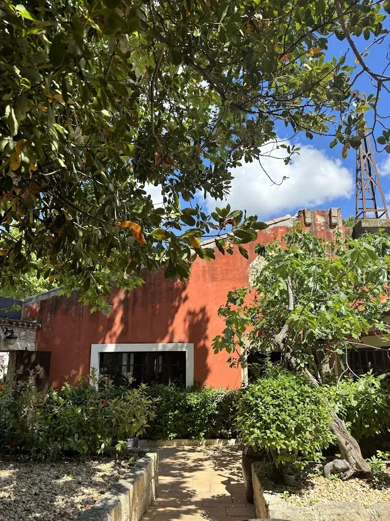 Le Mazet sous les platanes_Aimargues_slider_image_3