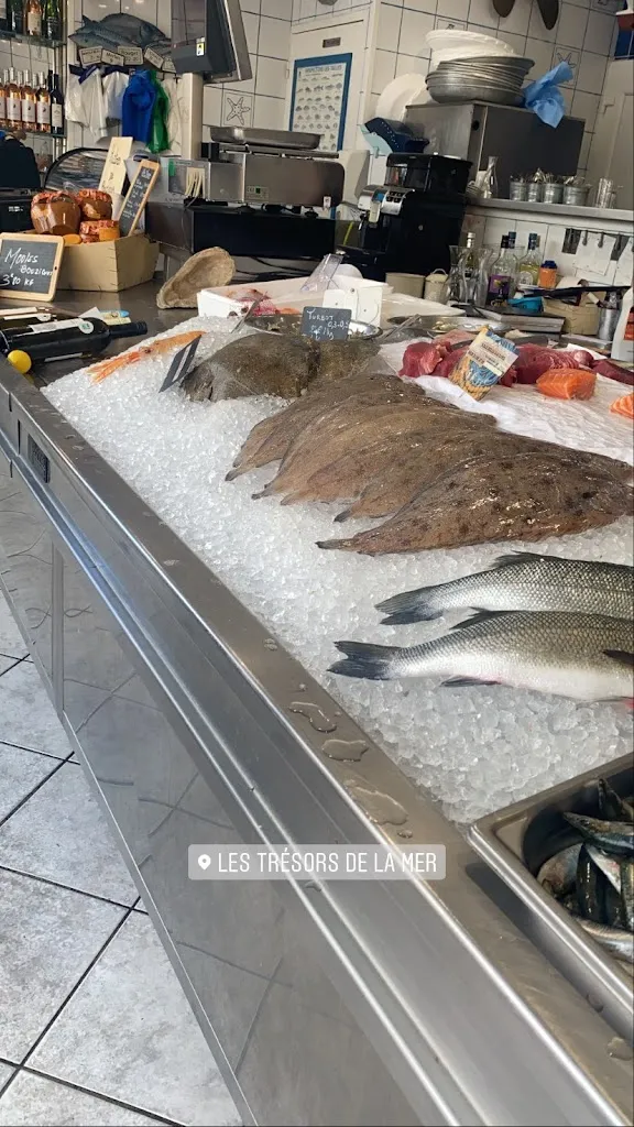 Eva Delama_Les Trésors de La Mer_Agde_review