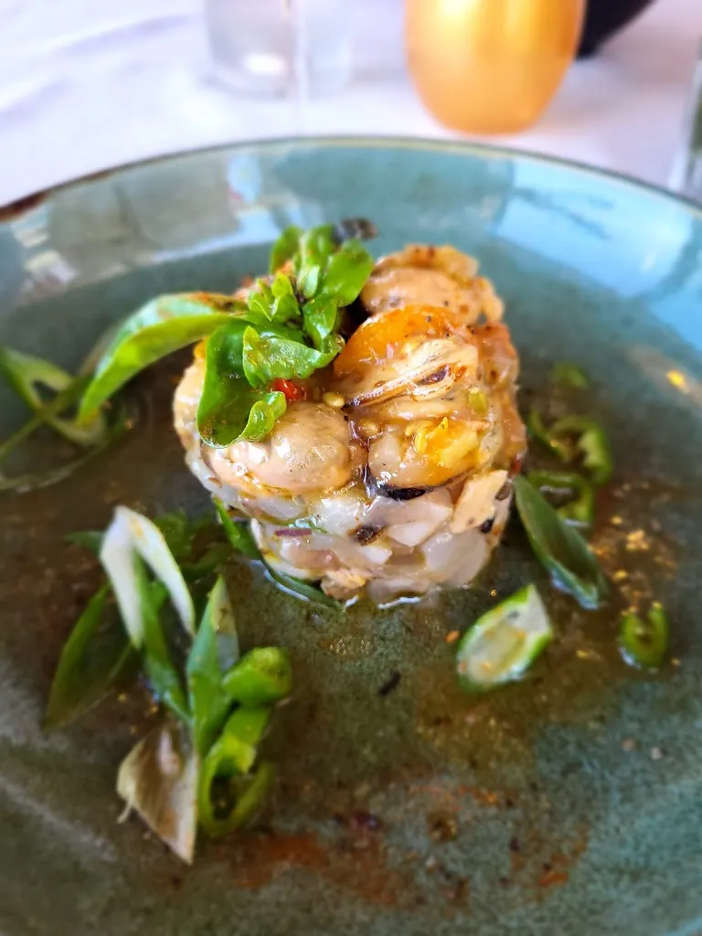 Paola Neto_Le Magellan_Agde_review