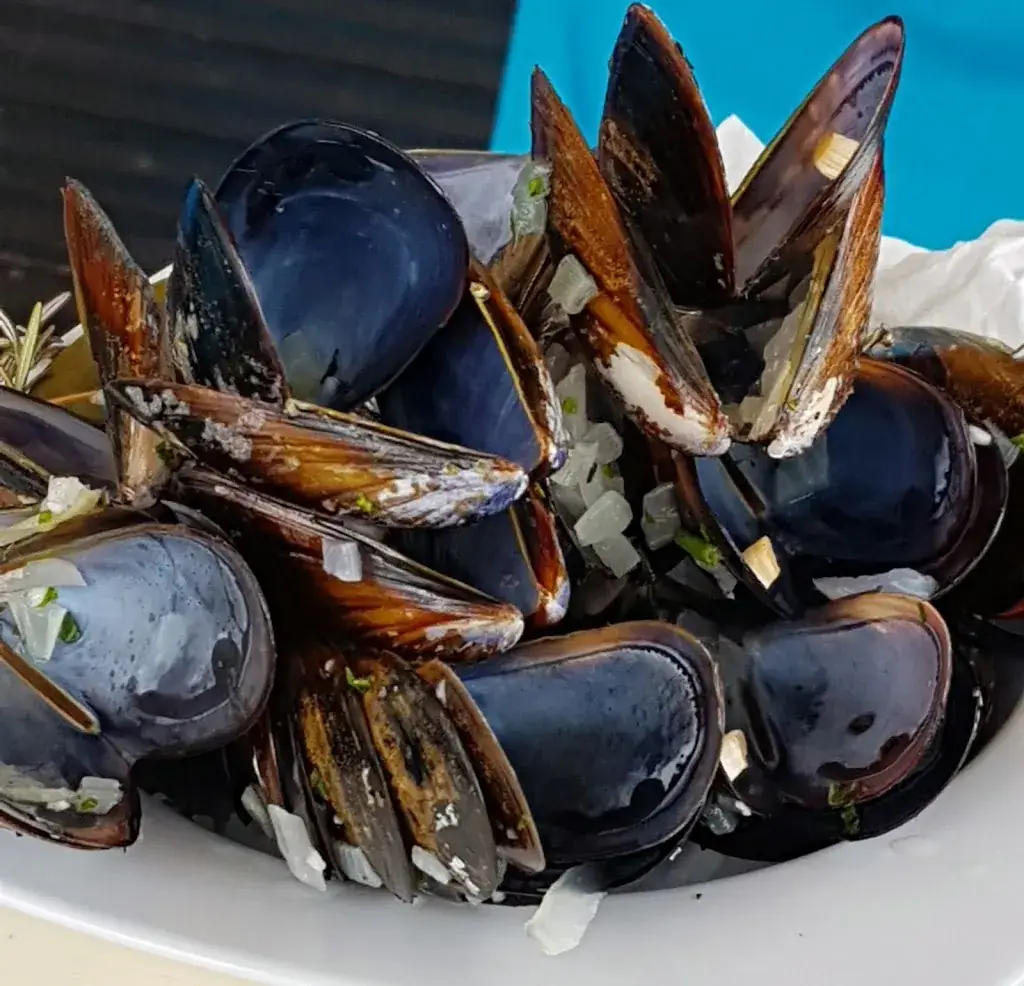 Menu_Marina_Agde_immagine_8