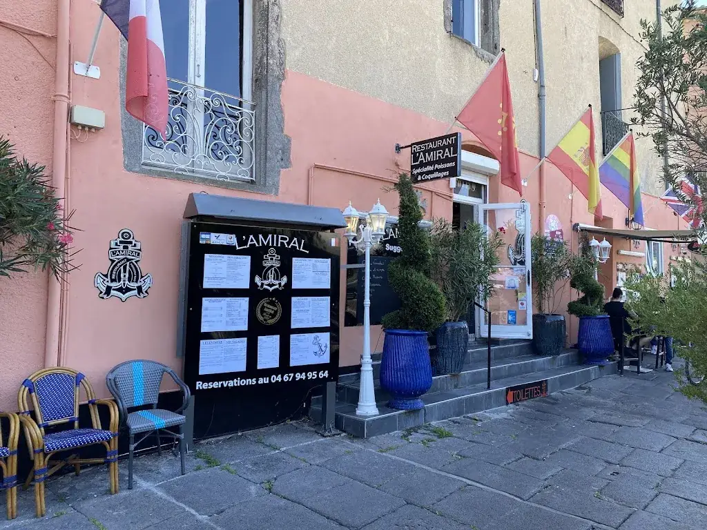 Ronald Verhagen_L'amiral_Agde_review