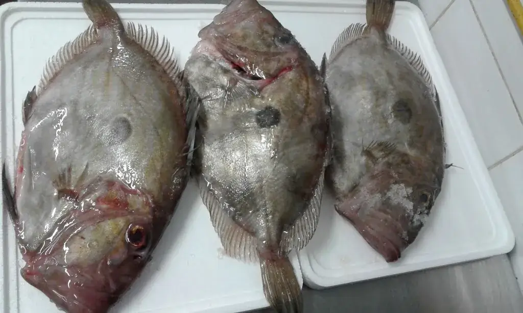 Le Marin Pêcheur_Agde_slider_image_3