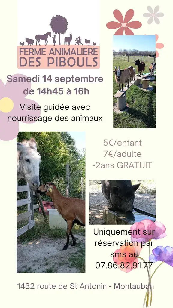 Farm Pibouls_Montauban_slider_image_3