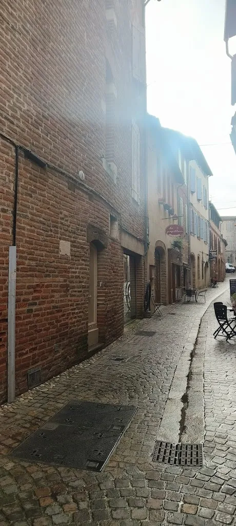 Taru Chaturvedi_Le Papillon_Albi_review