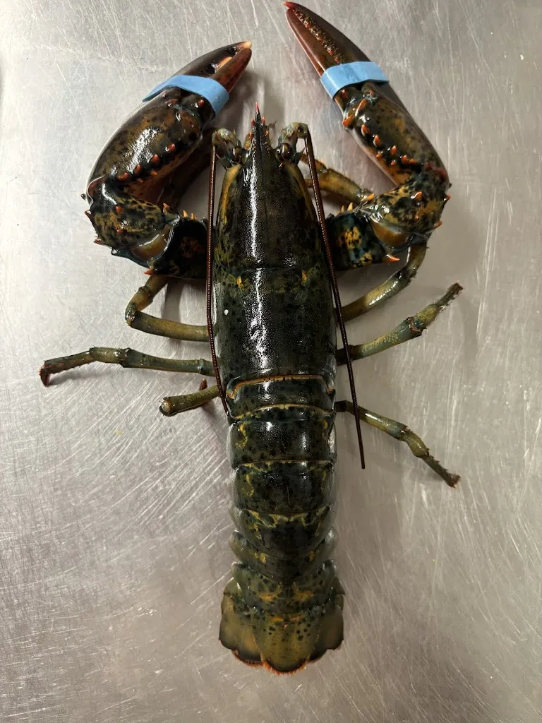 Café de la Place_Alignan-du-Vent_slider_image_2