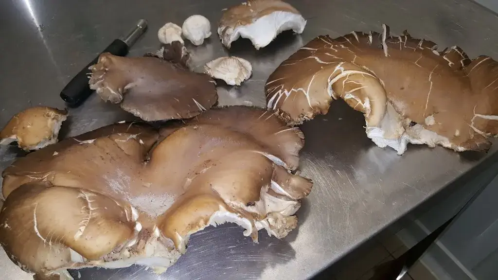 Menu_Le Galley_Alzonne_image_5